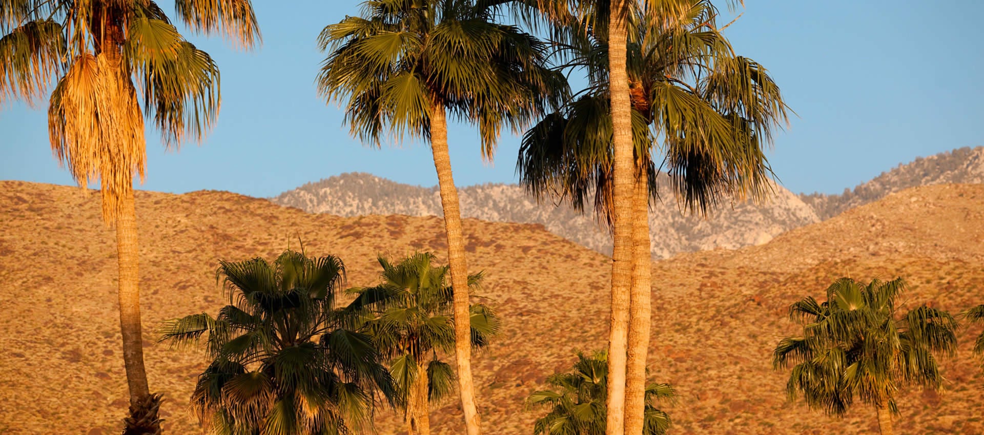 Palm Springs area hills with palm trees